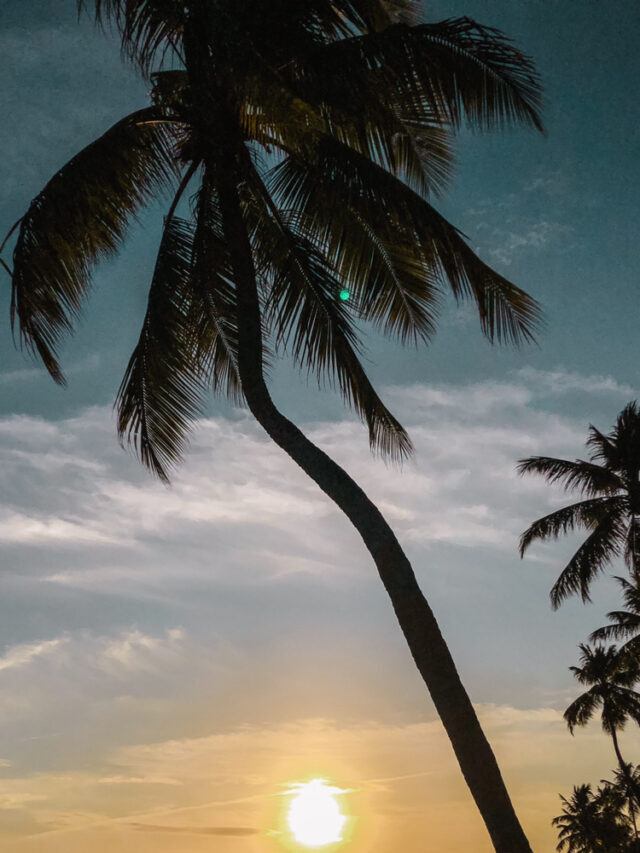 “Um pôr do sol à beira-mar”